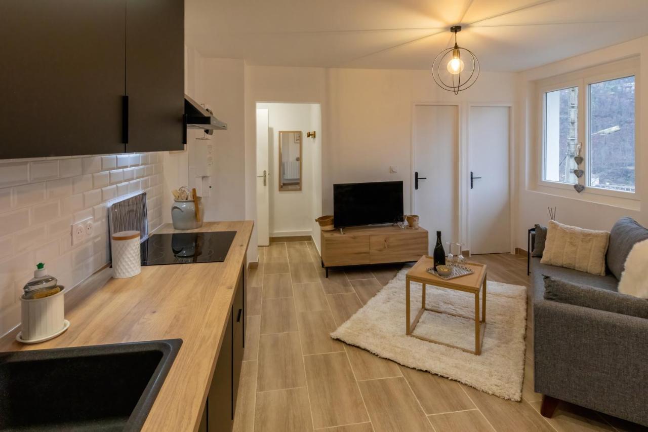 Les Appartements De Clelia Акс-ле-Терм Экстерьер фото
